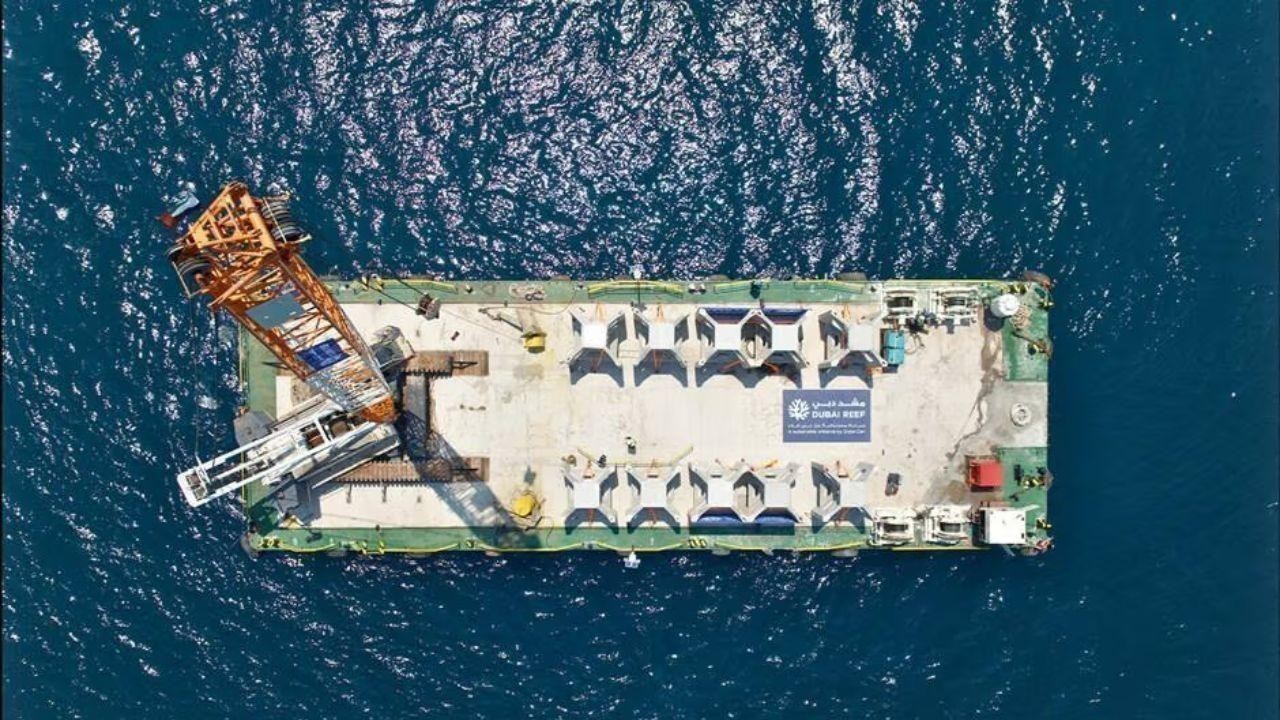 Dubai Reef Boosts Marine Life With Massive Underwater Project