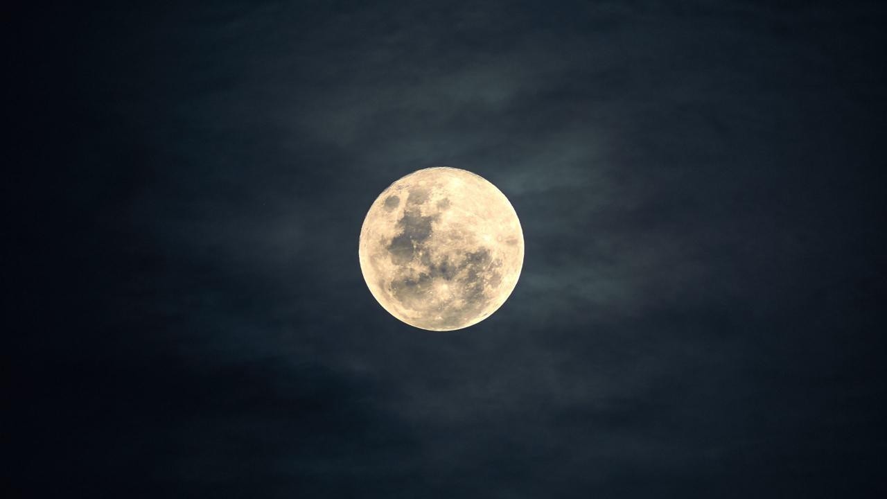 Moon to Earth: Neil Armstrong Declared the Moon as His Departure at Customs