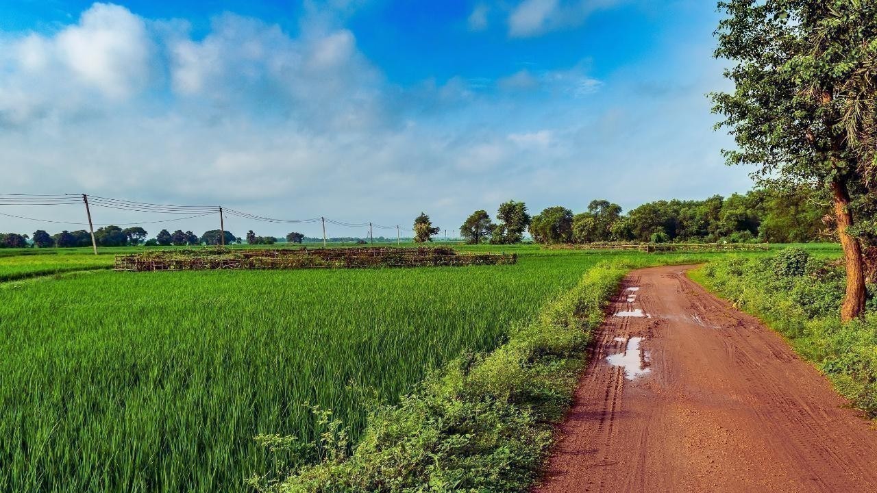 Rural Retreats: Why Escaping to Nature Is Trending