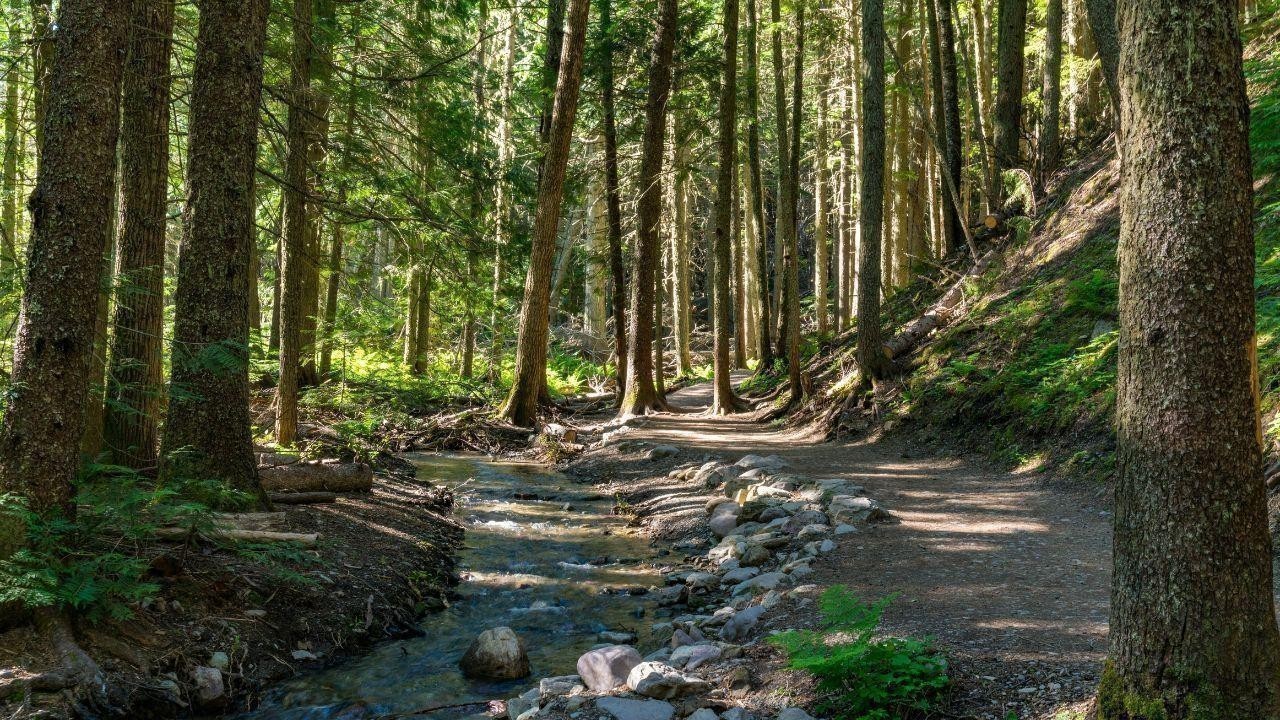 Nature Trails and Hiking Spots for Outdoor Enthusiasts