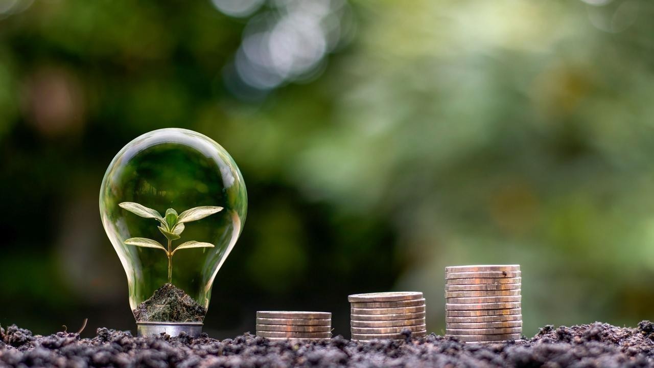 Innovation and Growth: Decoding Critical Market Trends