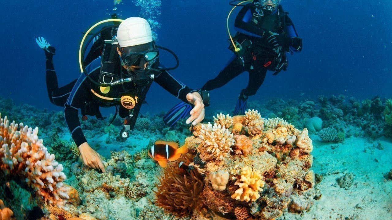 Best Underwater Diving Destinations Around the World