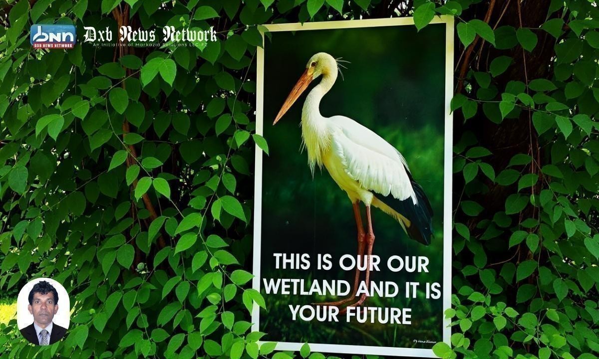 Beddagana Wetland Park: A Hidden Green Haven Near Colombo’s Parliament