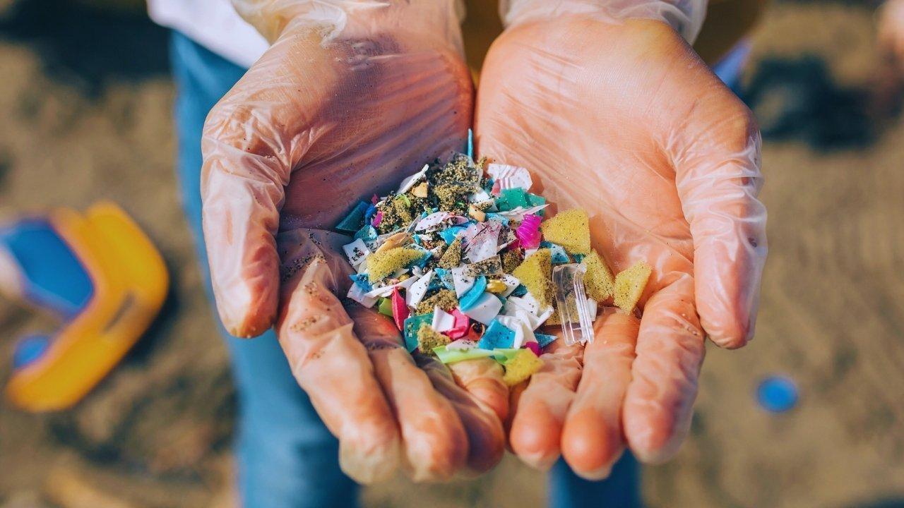 Microplastics Threaten Plant Photosynthesis, New Study Warns