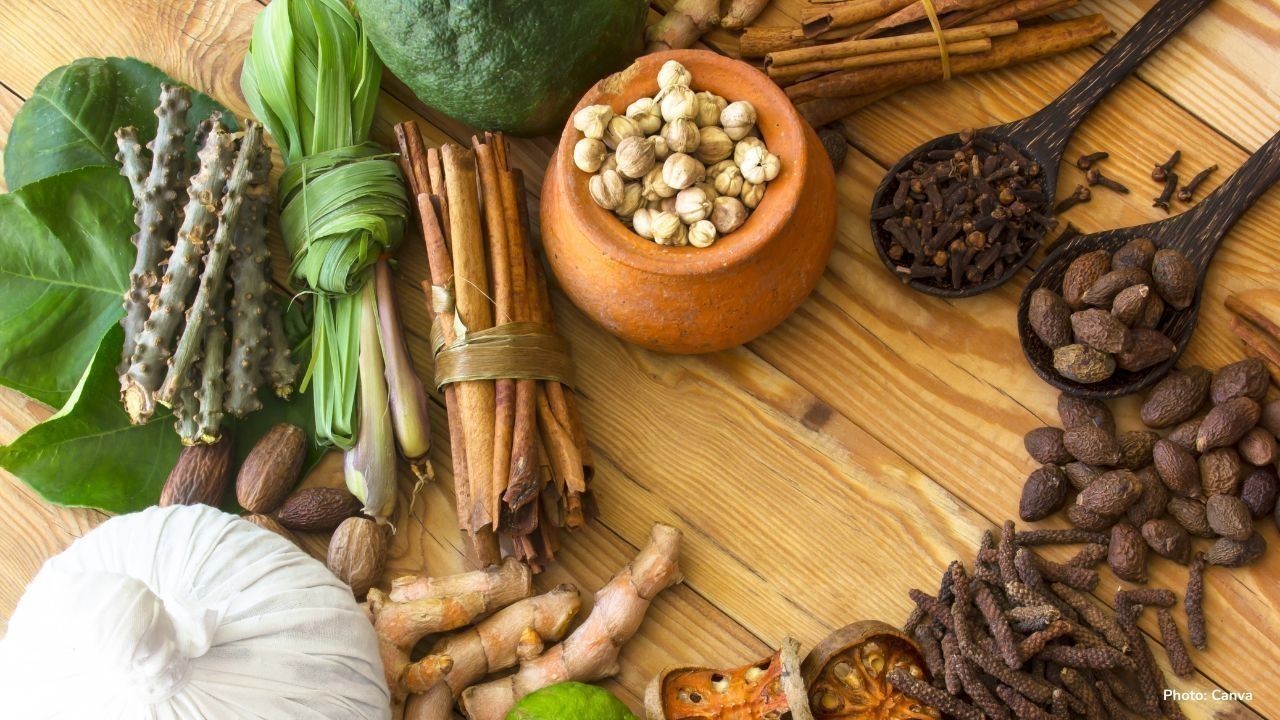 Ayurveda Goes Global: Indian Healing Transforming Wellness Worldwide
