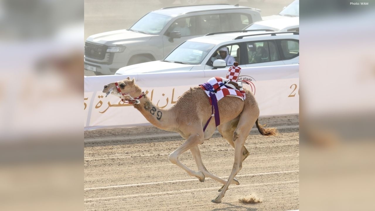Sheikh Sultan Attends Al Dhafra Camel Racing Festival