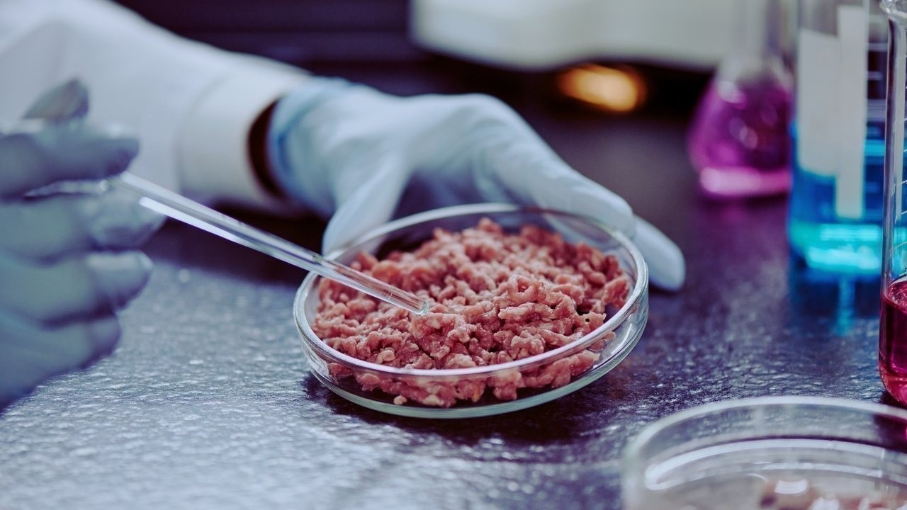 The Future of Food: Lab-Grown Meat, Insects, and New Protein Sources