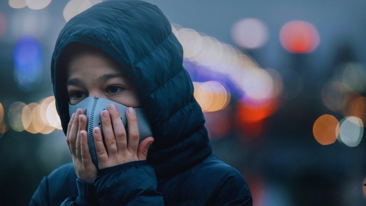 Allergy Season All Year: Indoor Air Quality, Plants, and Smart Purifiers