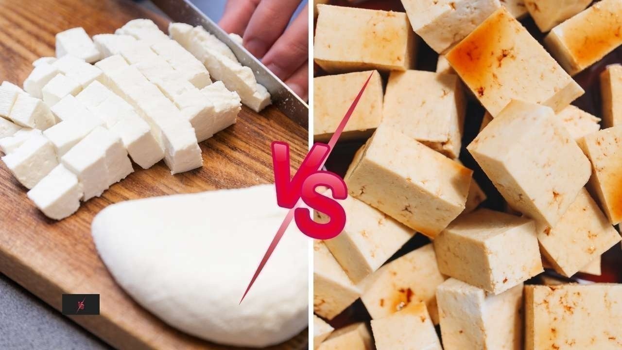 Paneer vs Tofu: Which Protein Is Better for Weight Loss?