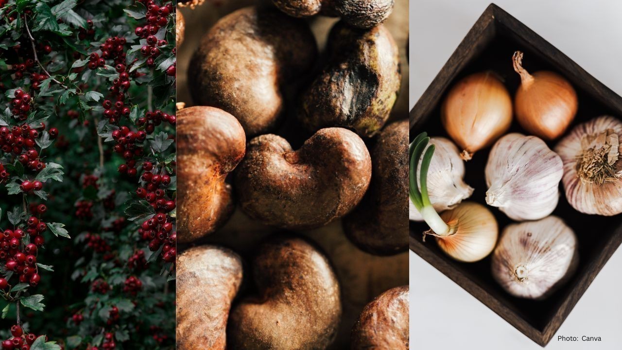 5 Foods That Naturally Heal Your Kidneys and Protect Them from Damage