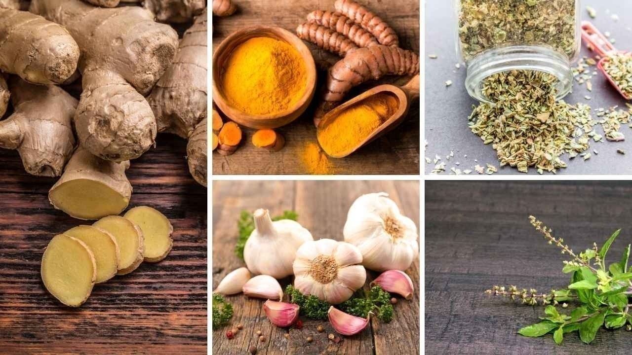 Five Everyday Kitchen Herbs That May Naturally Help Slow the Growth of Cancer Cells
