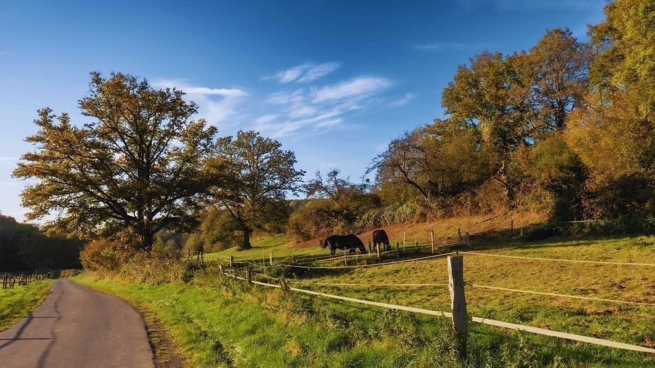 Why Rural Destinations Are Surging This Week: The New Global Shift Toward Cabins, Lodges, and Countryside Escapes