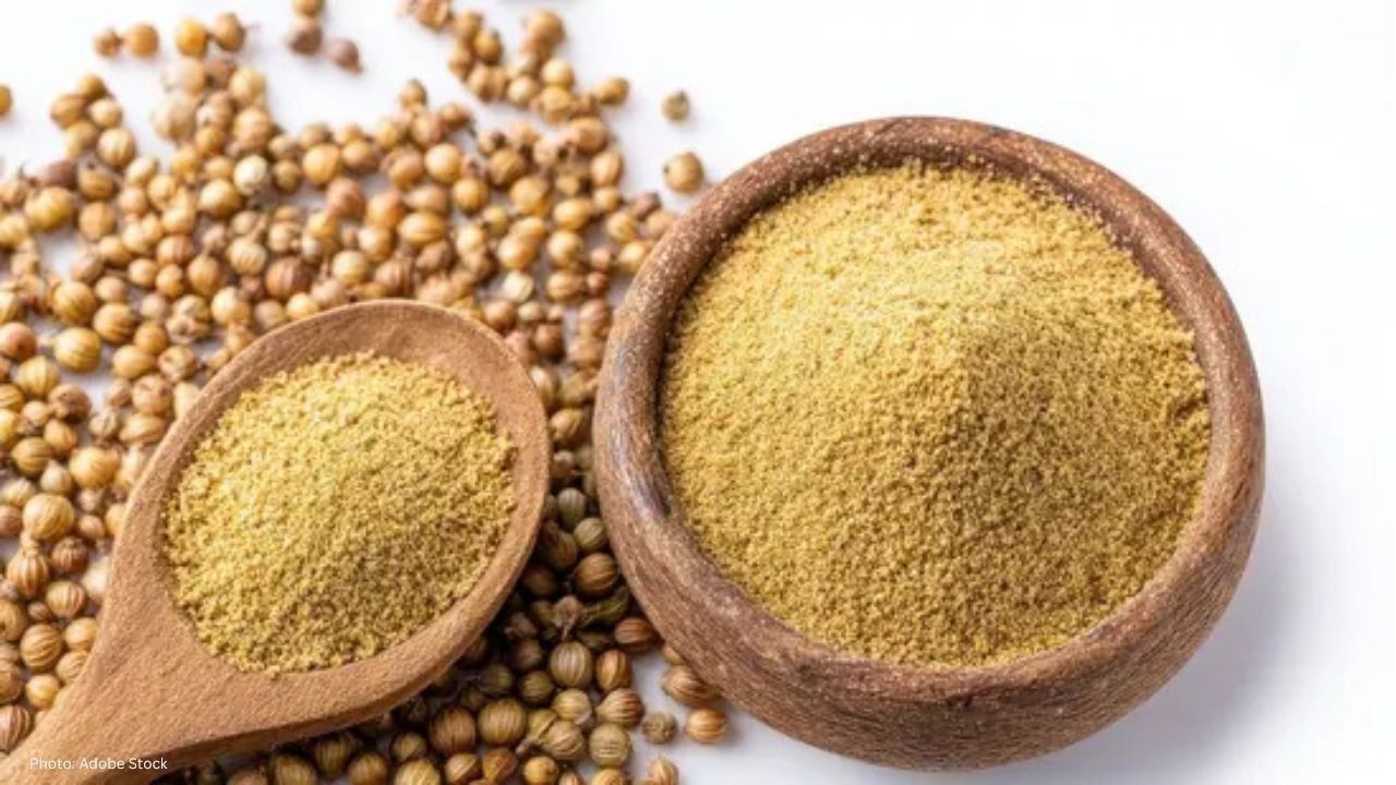 Coriander seeds vs powder: Nutritionist explains which is best for digestion and cholesterol
