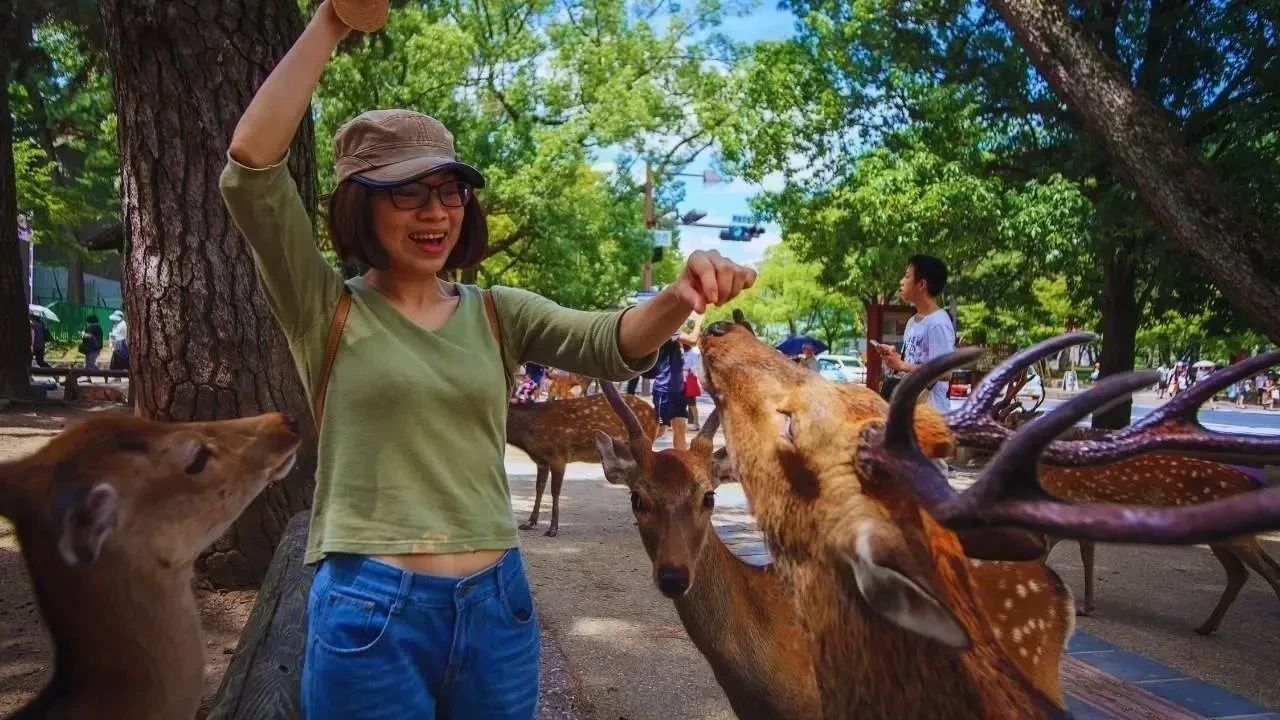 Why Wildlife Parks Are Witnessing a Visitor Surge