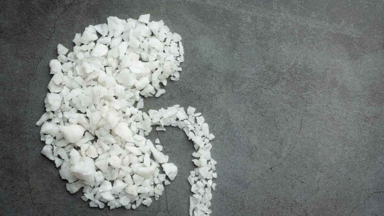 Can Too Much Salt Actually Damage Your Kidneys?
