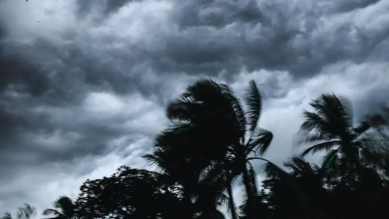 Cyclone Ditwah Approaches: Essential Steps for Coastal Residents in the Coming Days