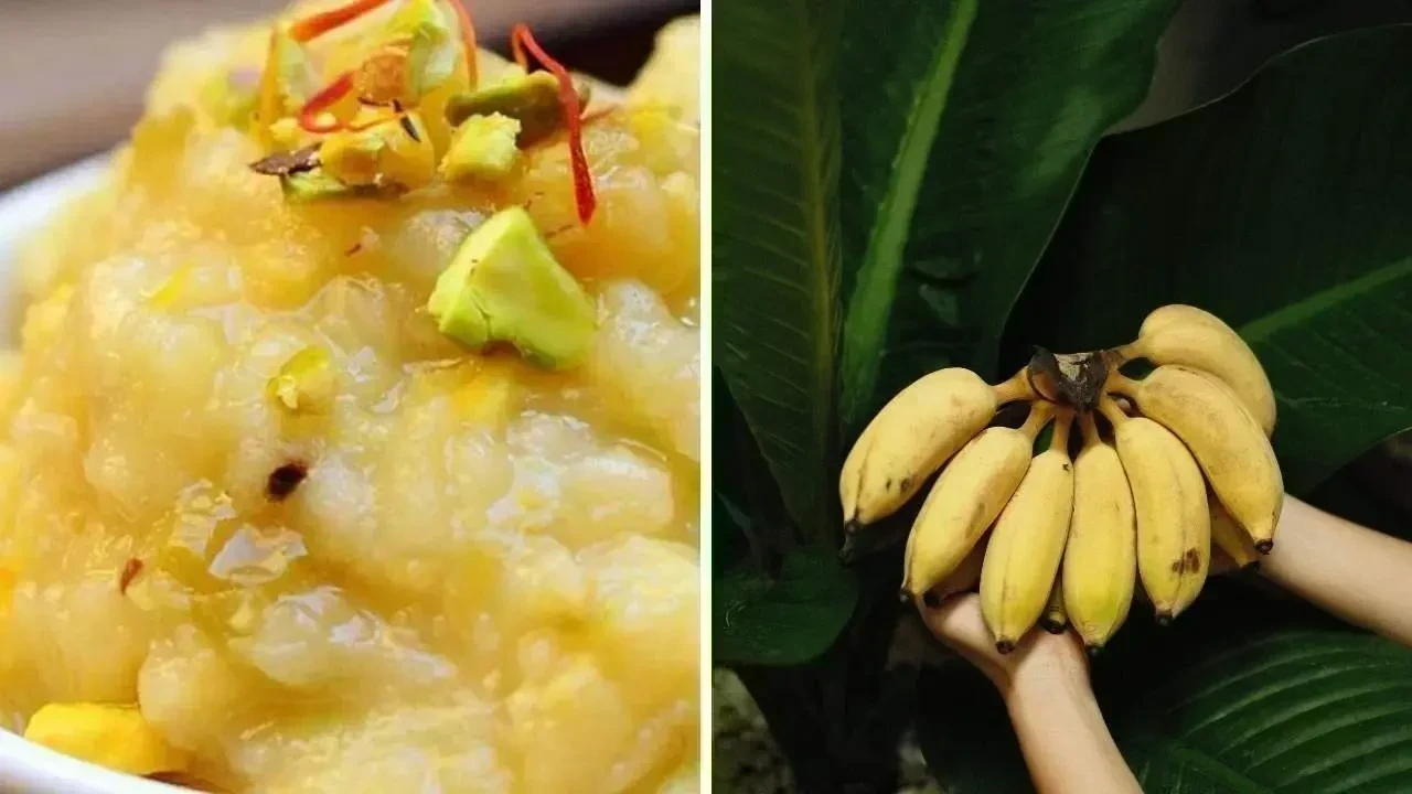 Banana Halwa Health Benefits: How This Desi Dessert Can Nourish Your Body