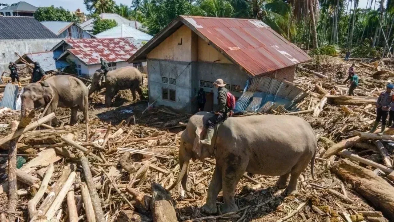Tragic Floods in Indonesia and Sri Lanka Claim Over 1,500 Lives