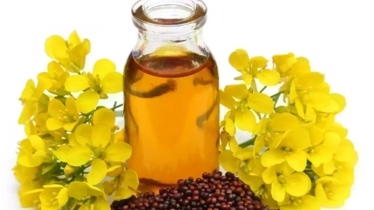 Natural Remedies for Stronger Hair Using Mustard Oil