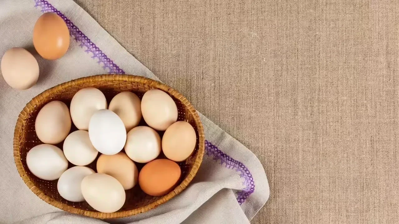 Are Eggs Dangerous? The Eggs–Eggoz Debate Sparks Health Concerns