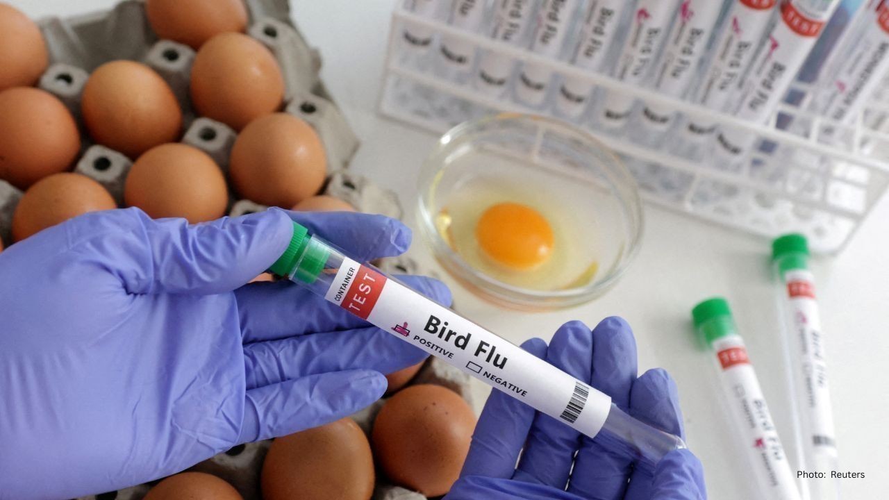 Senators Demand Swift Action on Bird Flu Vaccine Amid Crisis