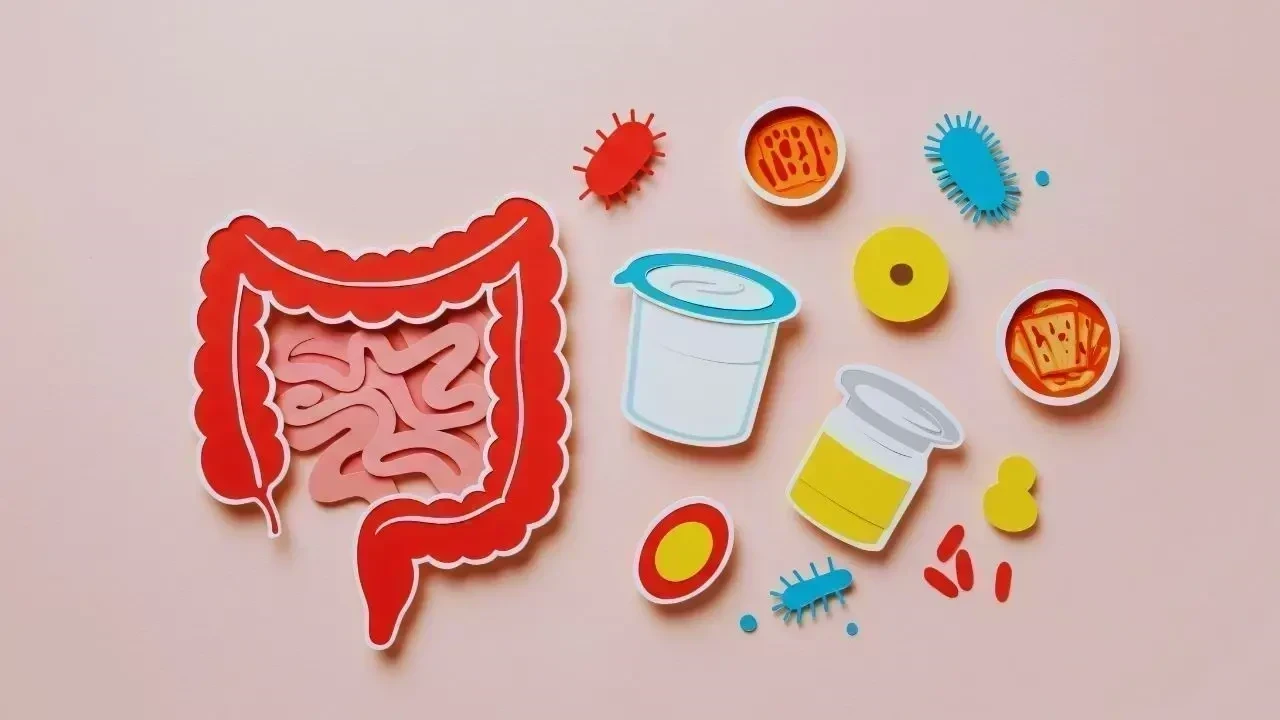 Gut Health Trends Reshape Nutrition in 2025