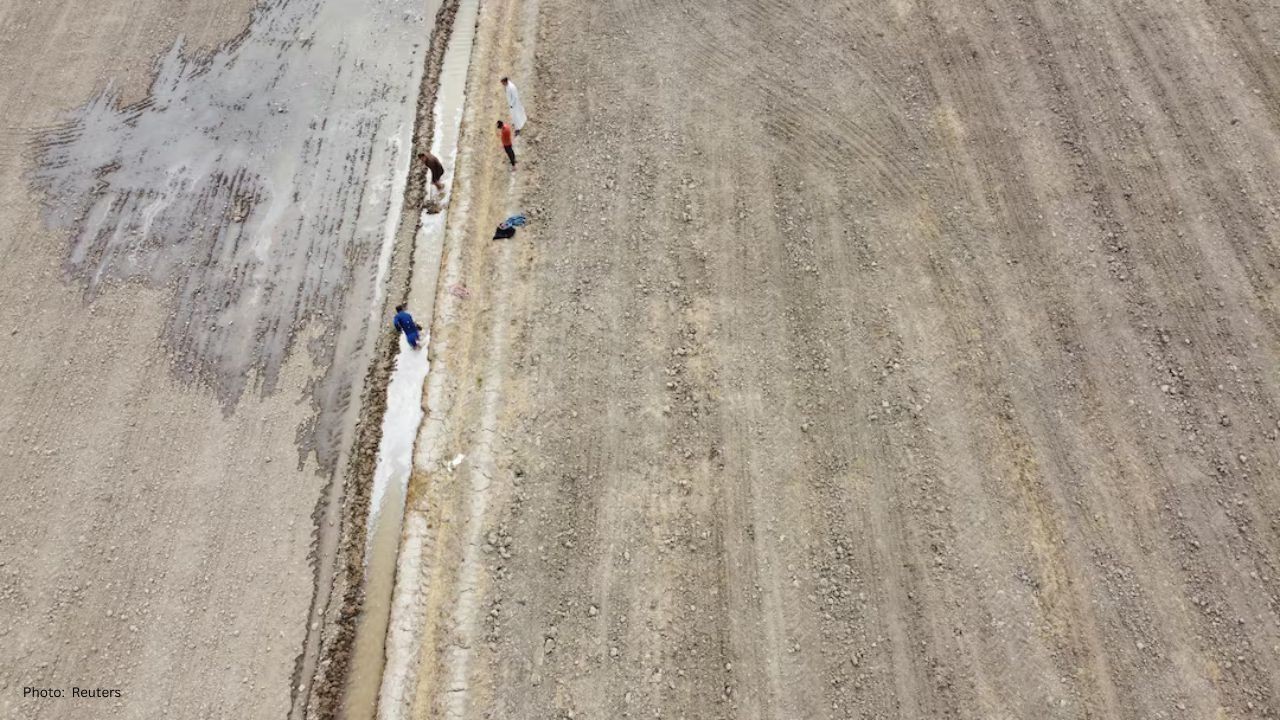 Iraq's Wheat Aspirations Crumble Amid Water Woes