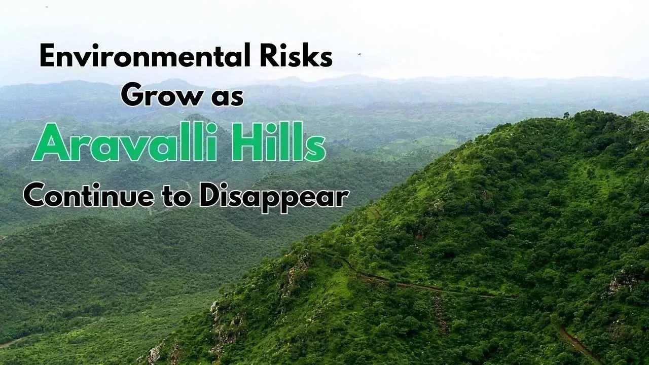 Environmental Risks Grow as Aravalli Hills Continue to Disappear