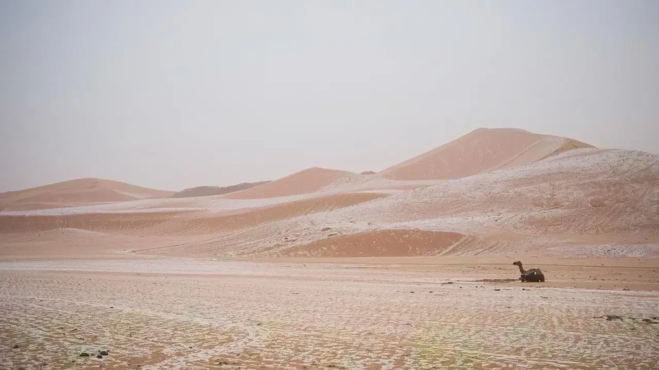 Surprising Snowfall Hits Northern Saudi Arabia After 30 Years