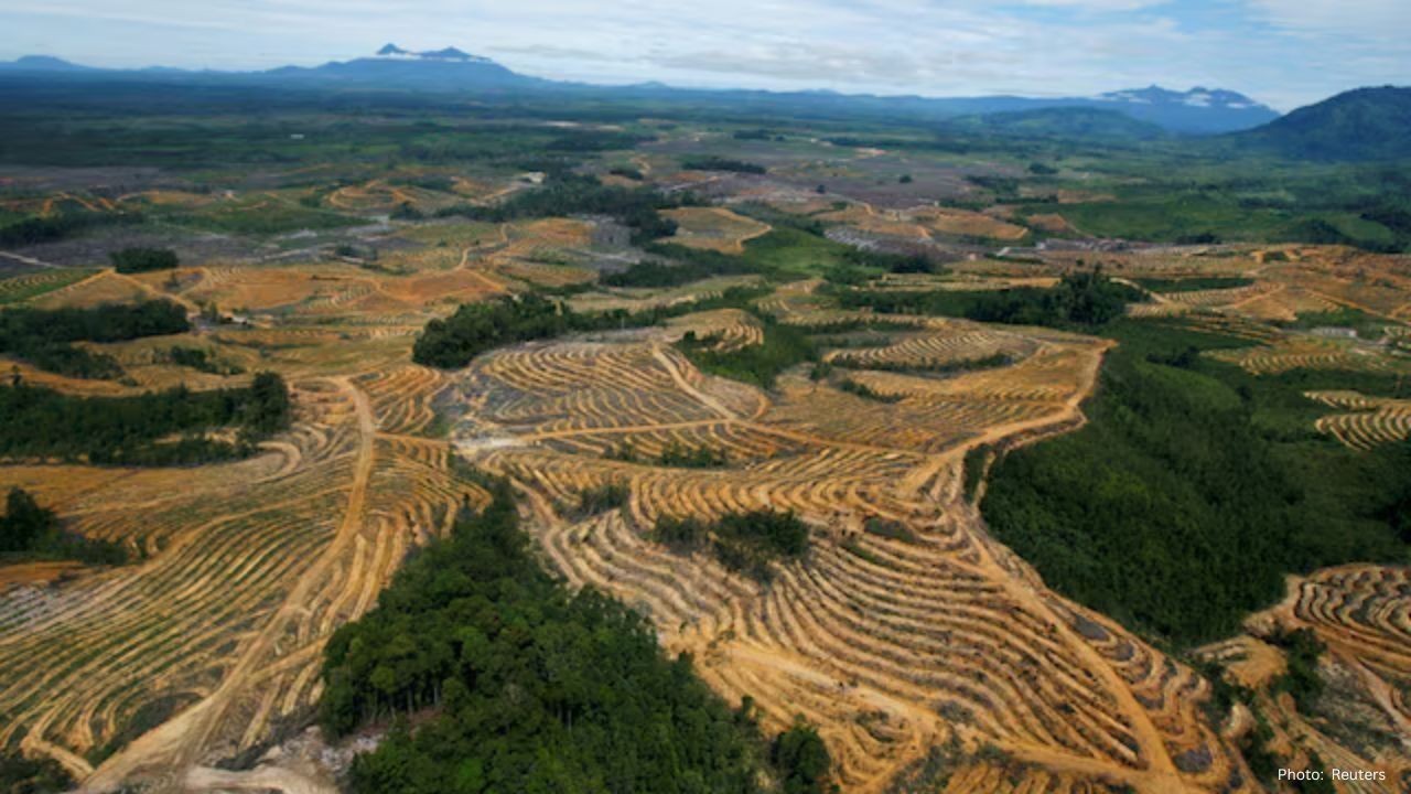Indonesia Targets Palm Oil and Mining Sectors with $8.5 Billion in Fines