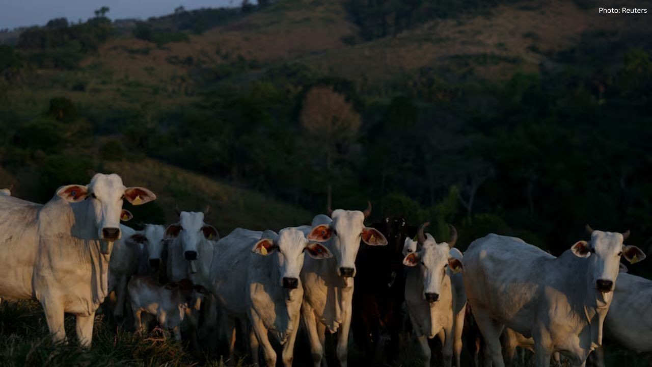 Japan Set to Audit Brazil’s Beef Production for Market Access