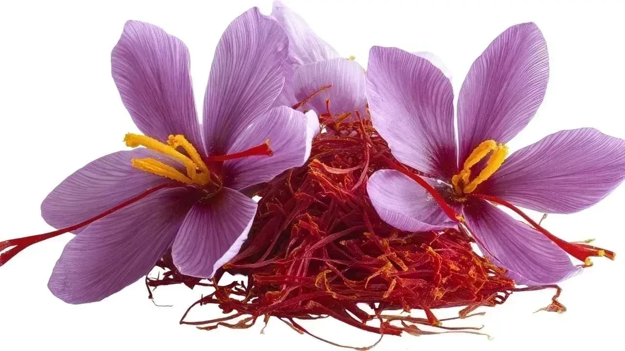 Discover 5 Health Benefits of Saffron (Kesar) You Should Know