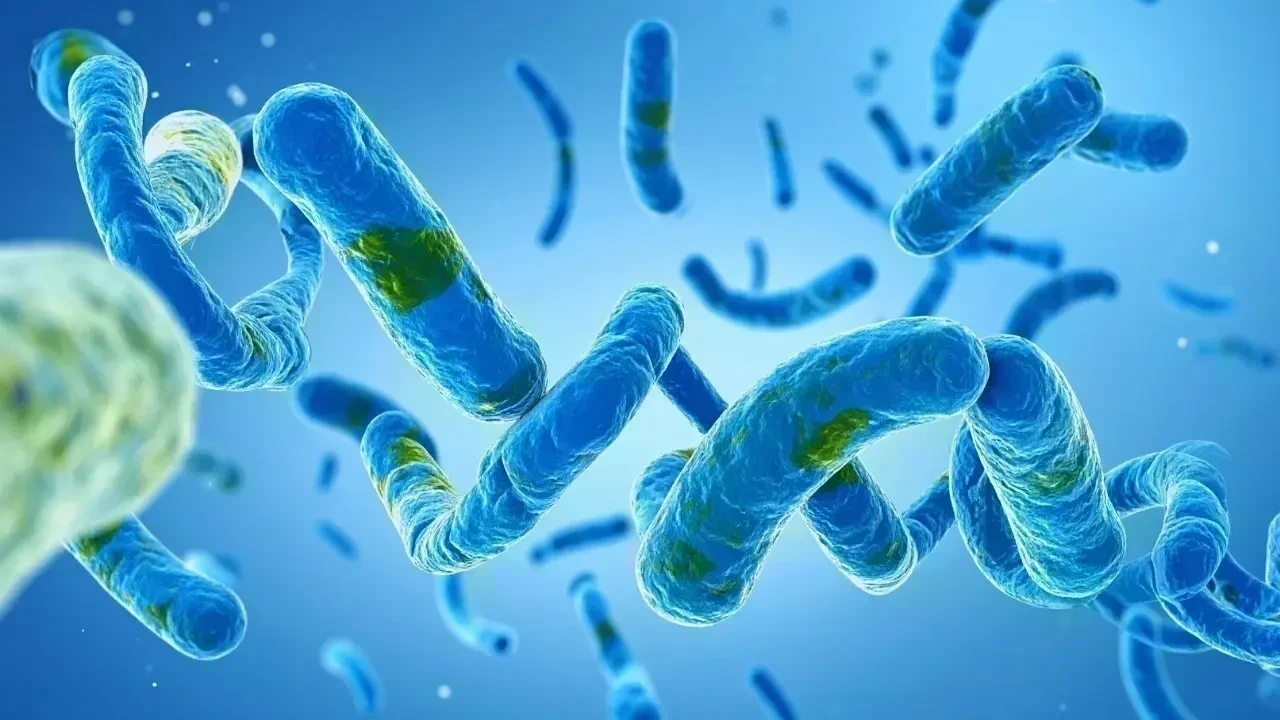 Emerging Health Threats: How Agencies Track New Infectious Diseases