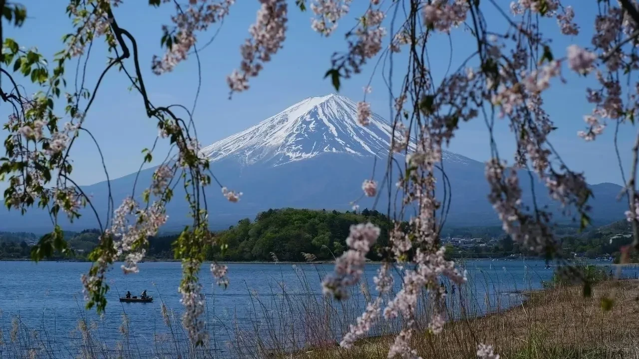 Japan Rises as the Top Searched Travel Destination