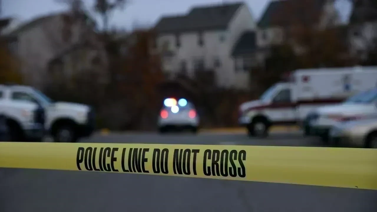 Indian-Origin Woman Arrested After Allegedly Killing Her Two Sons in New Jersey