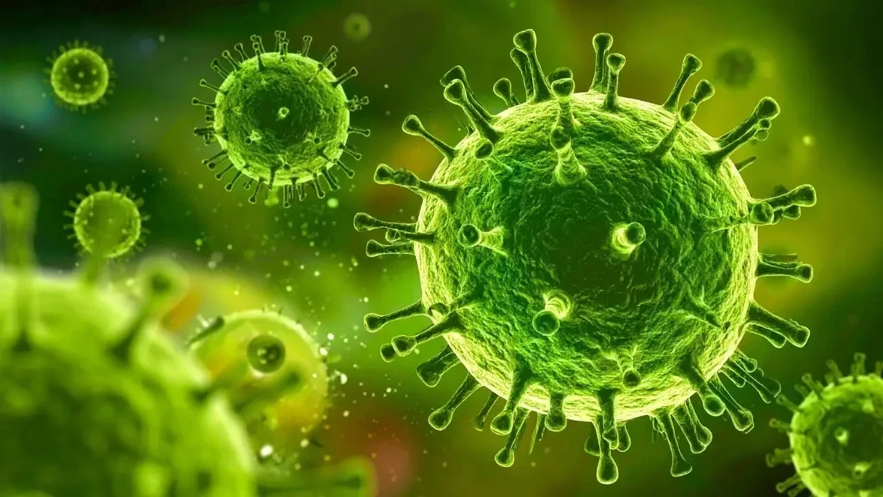 Nipah Virus Outbreak Sparks Health Precautions Across Asia