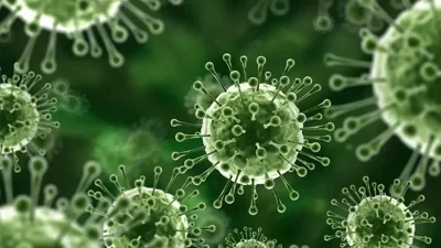 Urgent Alert: Nipah Virus Resurgence in India – Understand Symptoms and Safety Measures