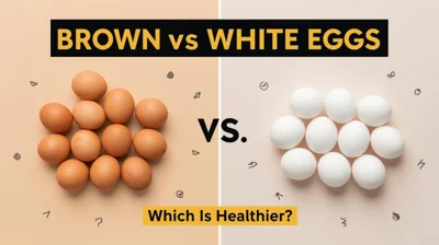 Brown vs White Eggs: Which Is Healthier? Expert Explains