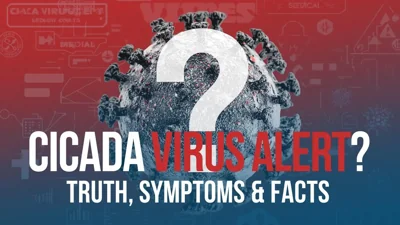 Cicada Virus Explained: Is It a New COVID Variant? Symptoms & Treatment