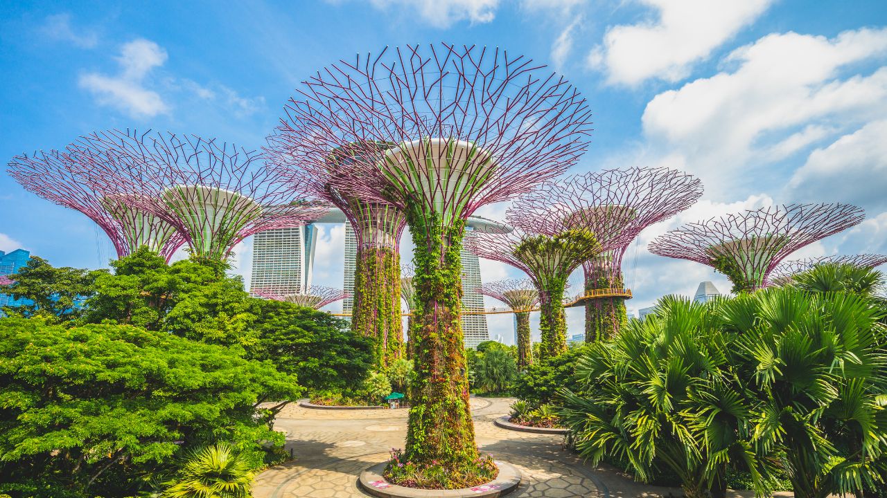 Dubai’s Best Parks and Gardens