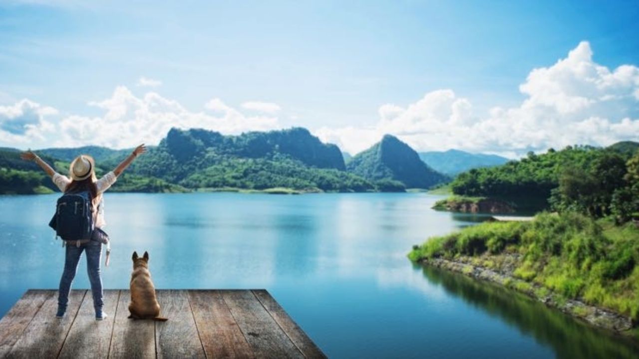 Secure Your Home and Travel Stress Free