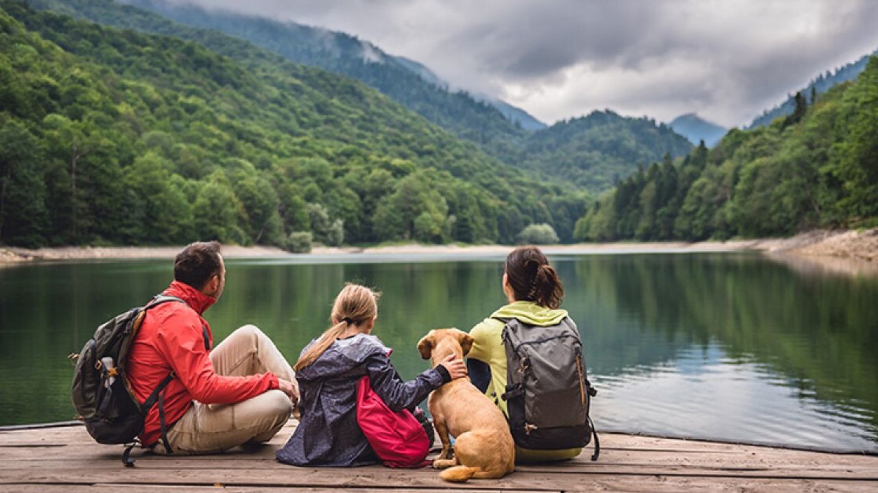 Secure Your Home and Travel Stress Free